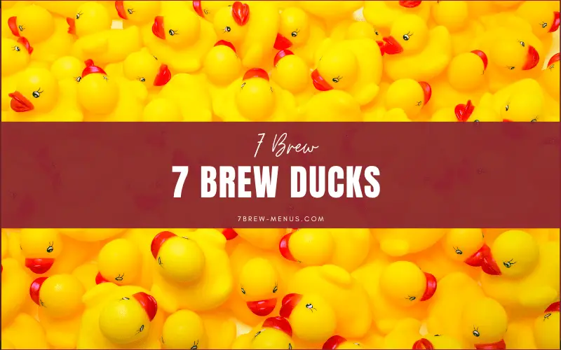 7 brew ducks